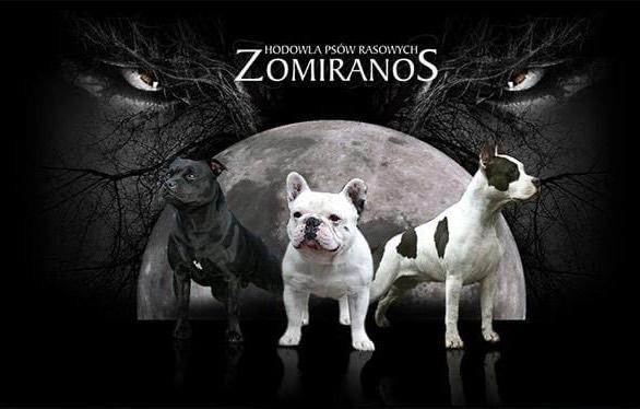 Zomiranos