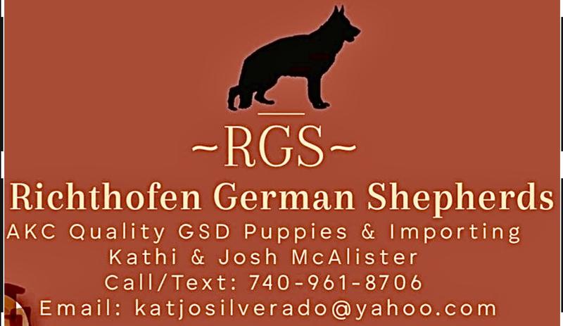 Richthofen German Shepherds