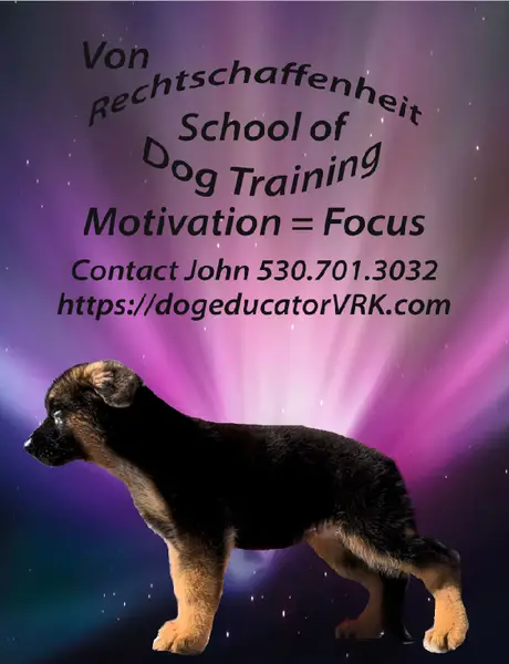 Von Rechtschaffenheit School of Dog Training