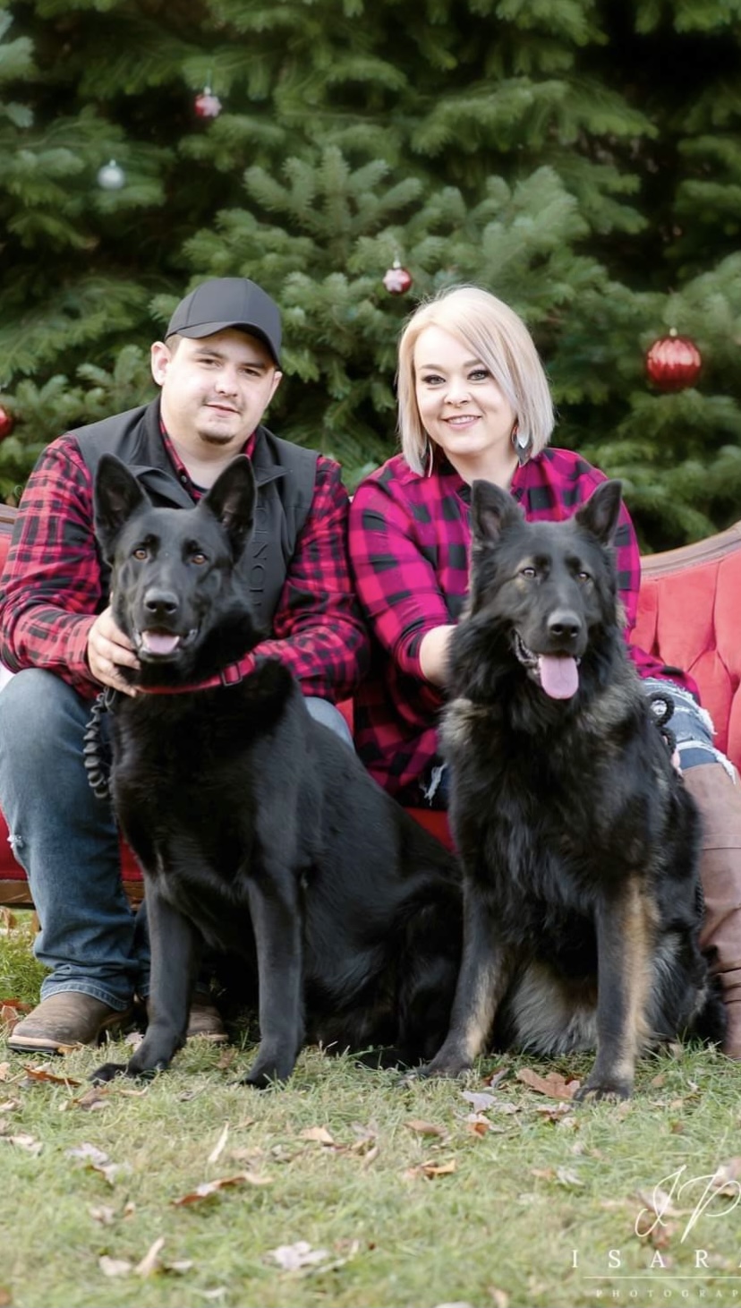 C&C German shepherds