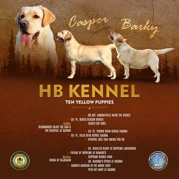 HB Kennel