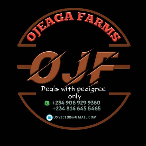 Ojeaga farms