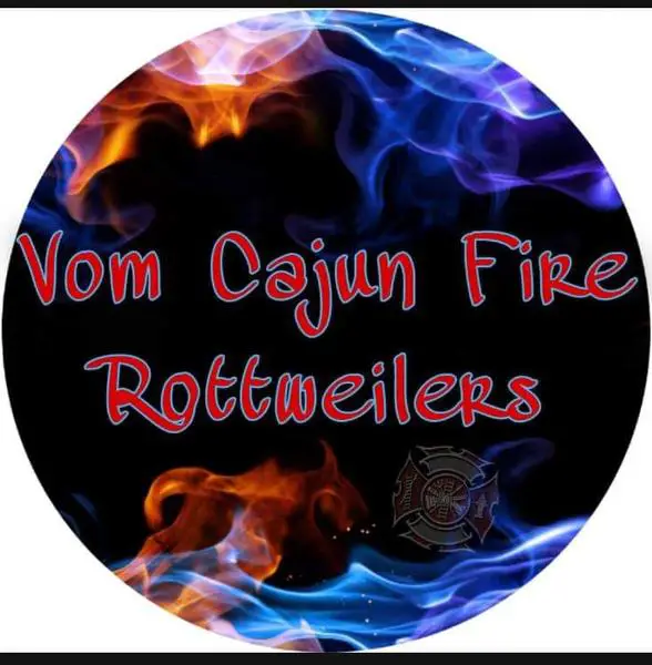 Vom Cajun Fire Rottweilers