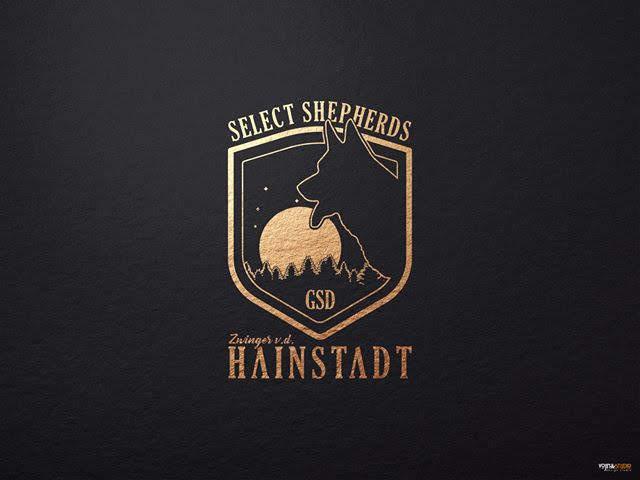 *Select Shepherds LLC * Zwinger von der Hainstadt