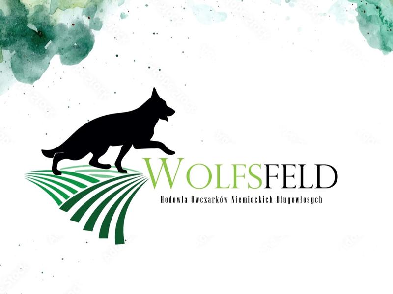 Wolfsfeld FCI