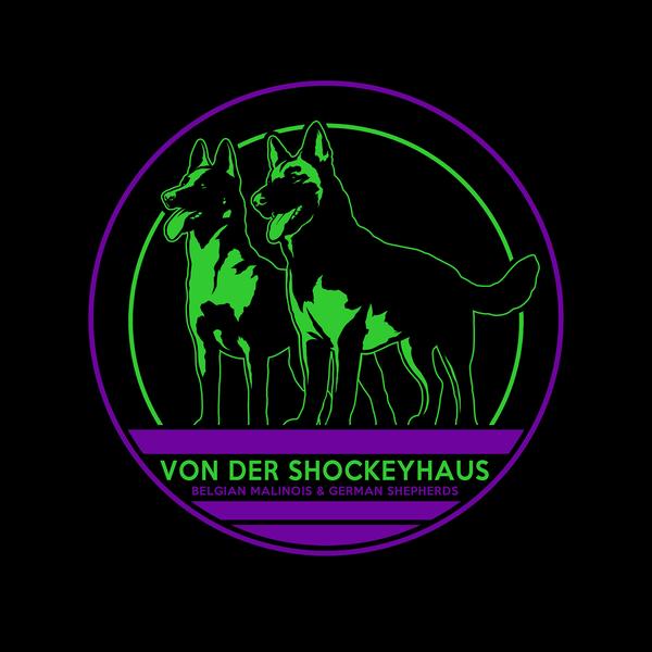 vd Shockeyhaus