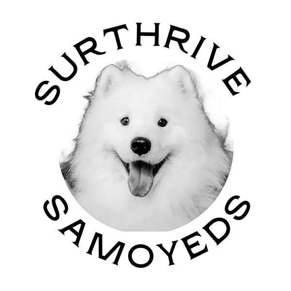 SurThrive Samoyeds