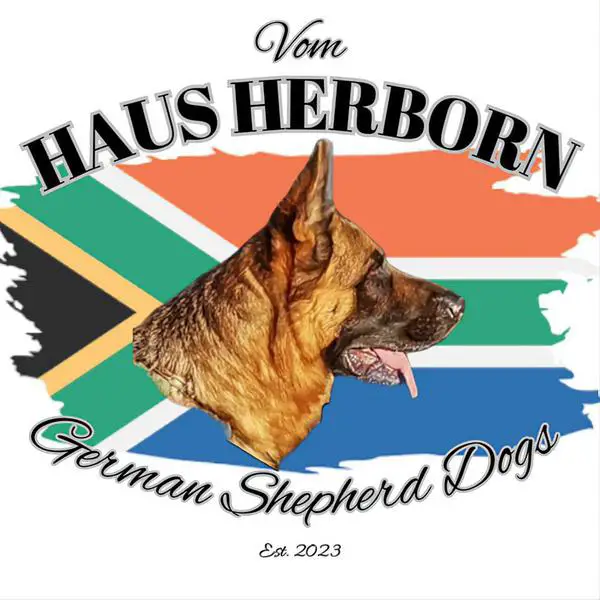 Haus Herborn German Shepherd Dogs