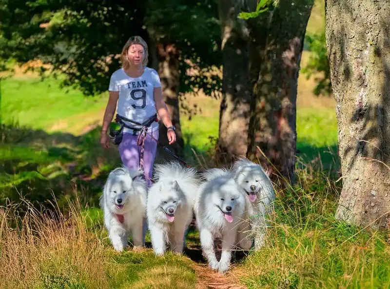 Silver from the North