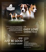 Puppies for sale