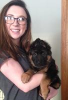 Large Bone Rich Black and Red GSD Pups