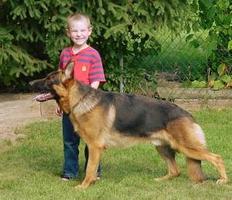 Great Temperament Family Raised in Home