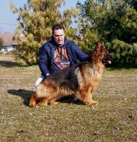 Pregnant Long Coat Female