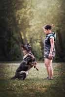 TOP IGP3 titled dark sable female!