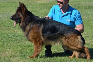 Top long coat male