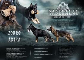 Upcoming Performance Litter