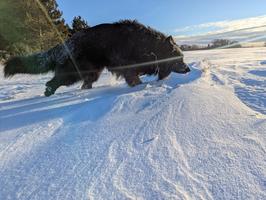 Solid Black Long Coat Male