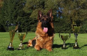 VA Uvo Dell alto Ofanto son 4years old