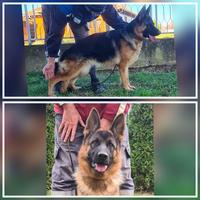 VA1 Usher aus der Brunnenstraße..Daughter...