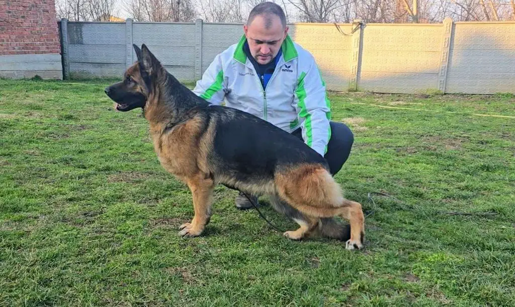 V3 NALDO DAUGHTER CONFIRM PREGNANT
