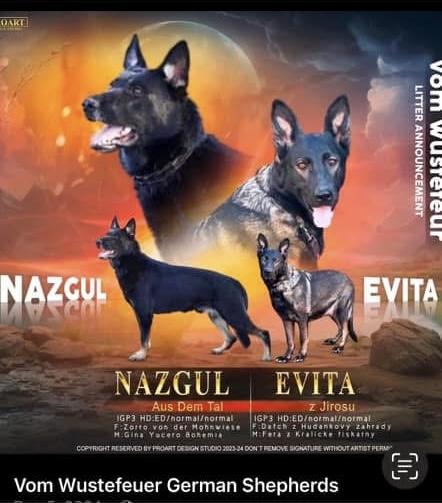 Equidius,Pike,Datch,Troll,Mink