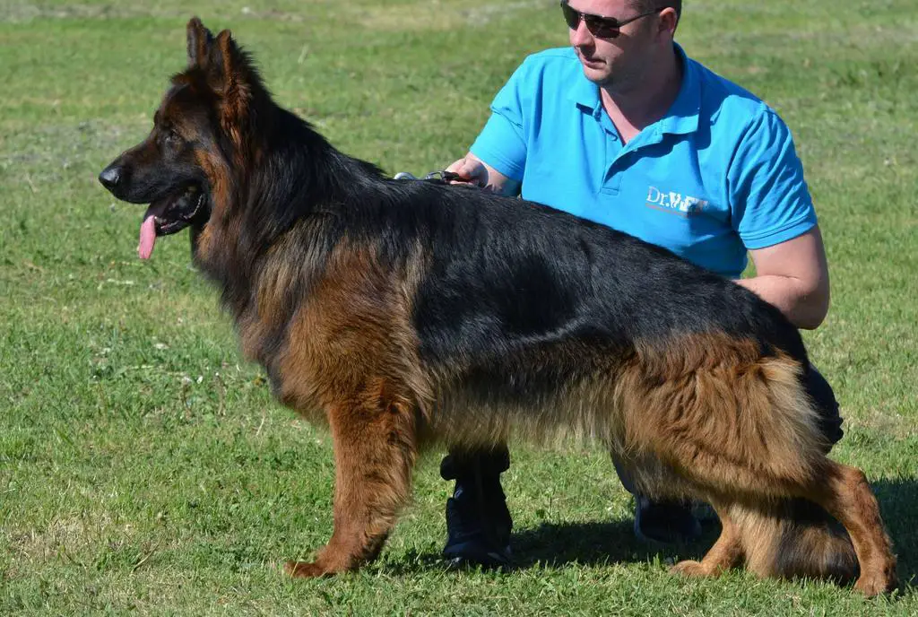 Top long coat male