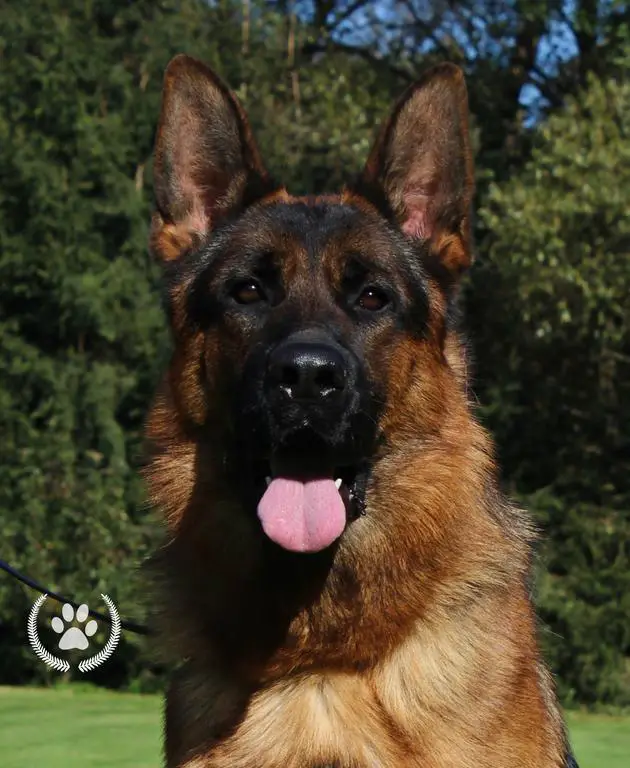 Wax v. Eichenplatz son 20 months old