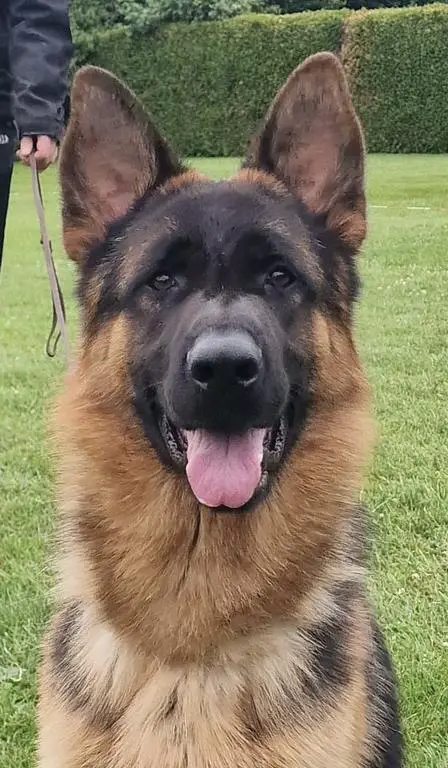 Va2 Quantum son 10months old