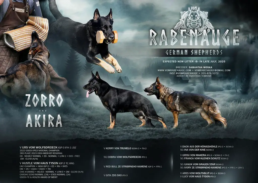 Upcoming Performance Litter