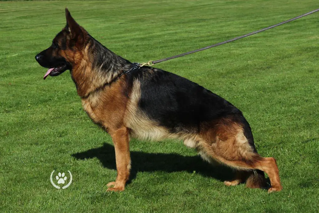 Wax v. Eichenplatz son 2years old