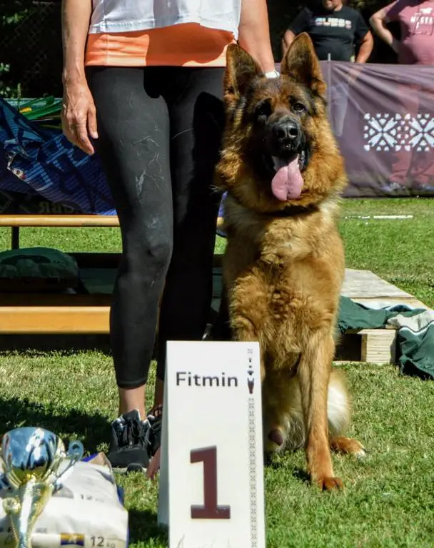 VA Uvo Dell alto Ofanto son 3 and half years old