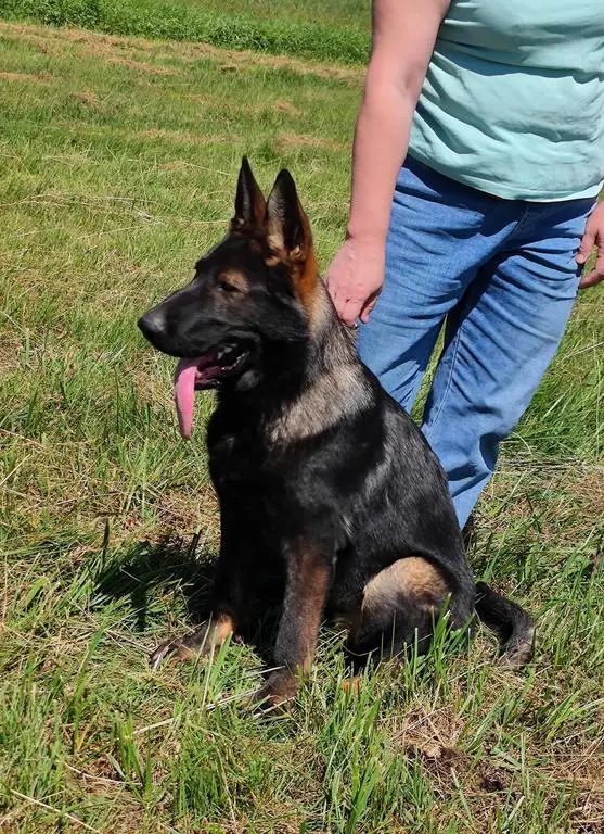 Young top notch DDR female is available