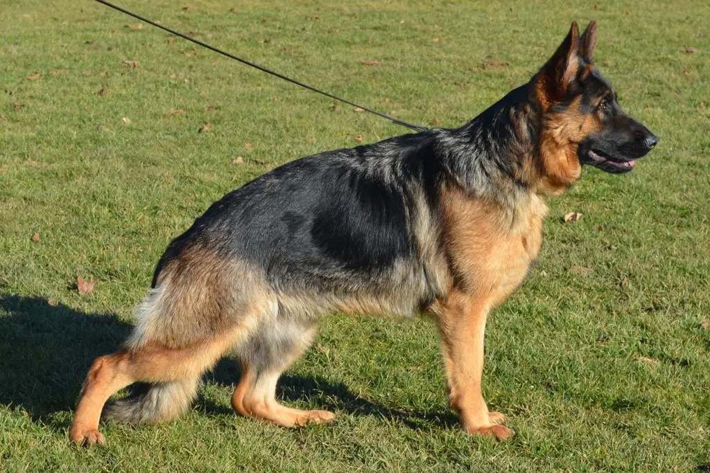 2 years old Mio Hühnegrab daughter
