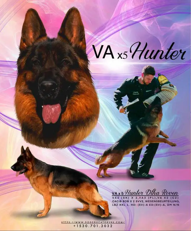 VA x5 Hunter Dlha Roven