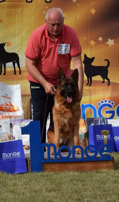 Bszs SG1 Bazooka daughter