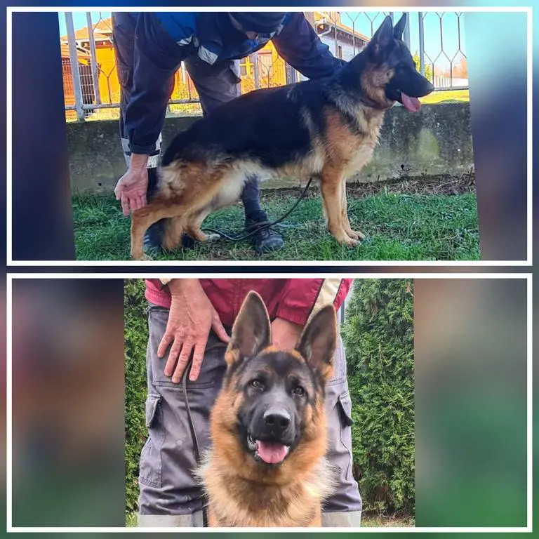 VA1 Usher aus der Brunnenstraße..Daughter...