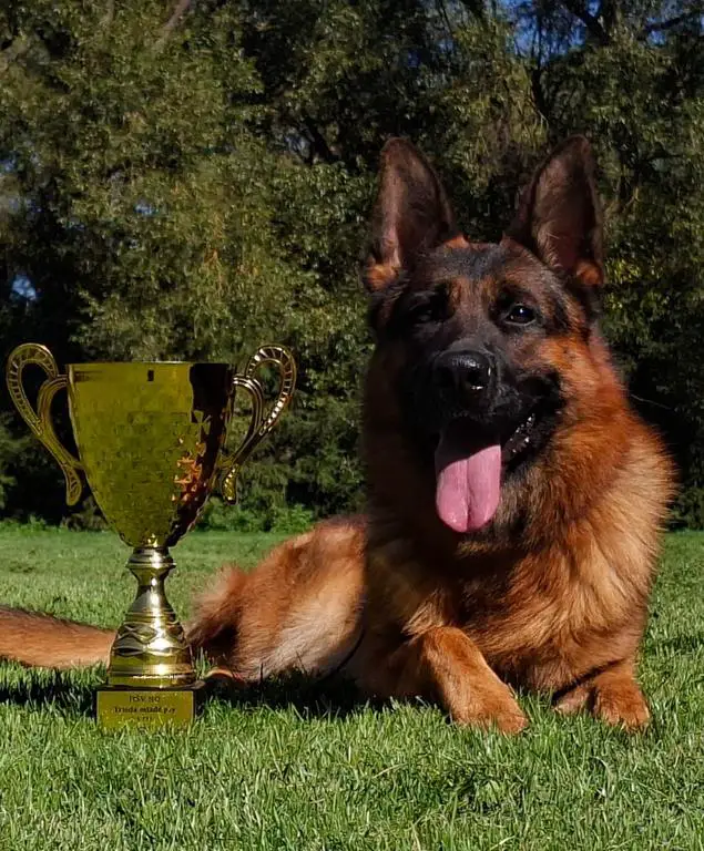 Wax v. Eichenplatz son 2 years old