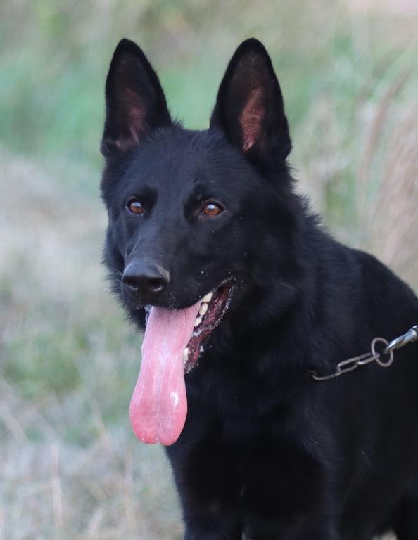 Black male - personal protection