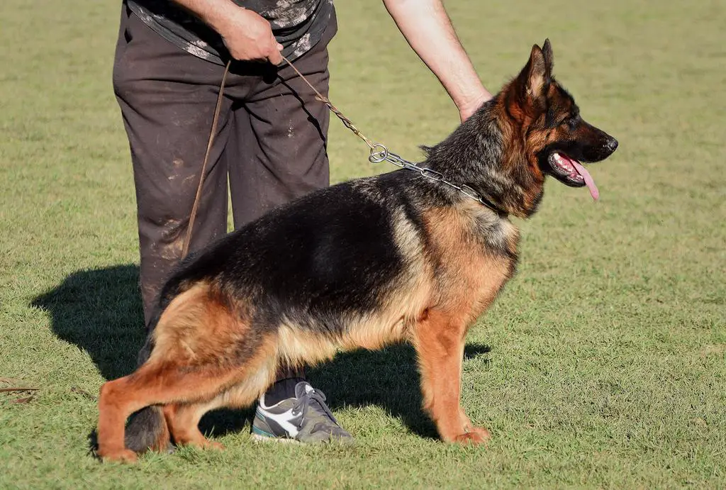 Super type  very black and red 