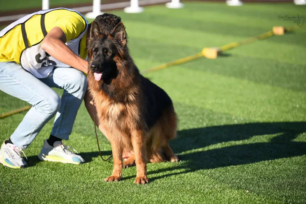 German import female, daughter of world champion