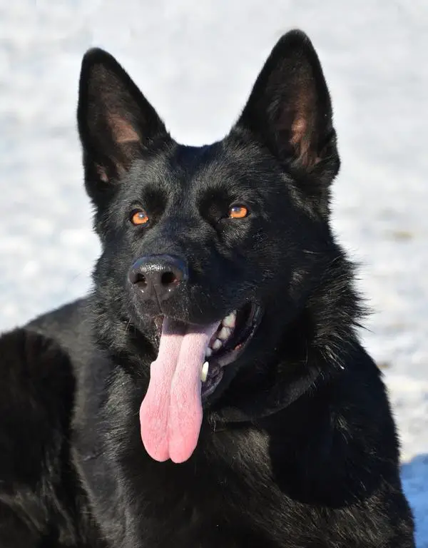 Proven mother, titled!