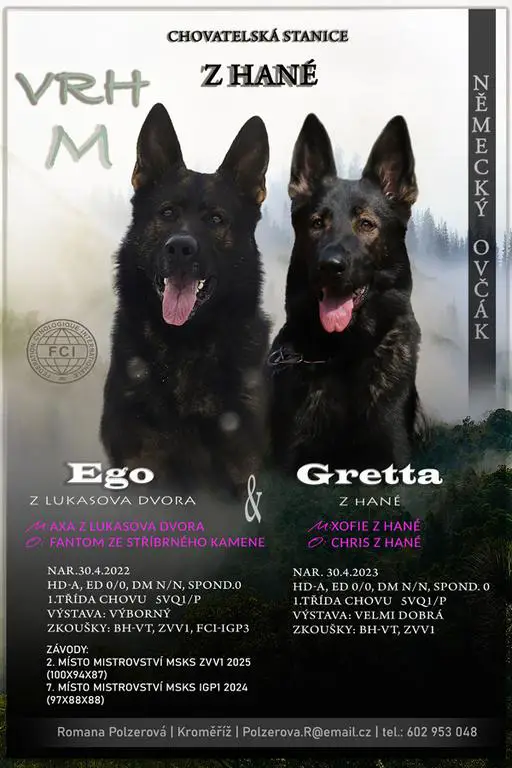 GSD puppies from the Czech Republic