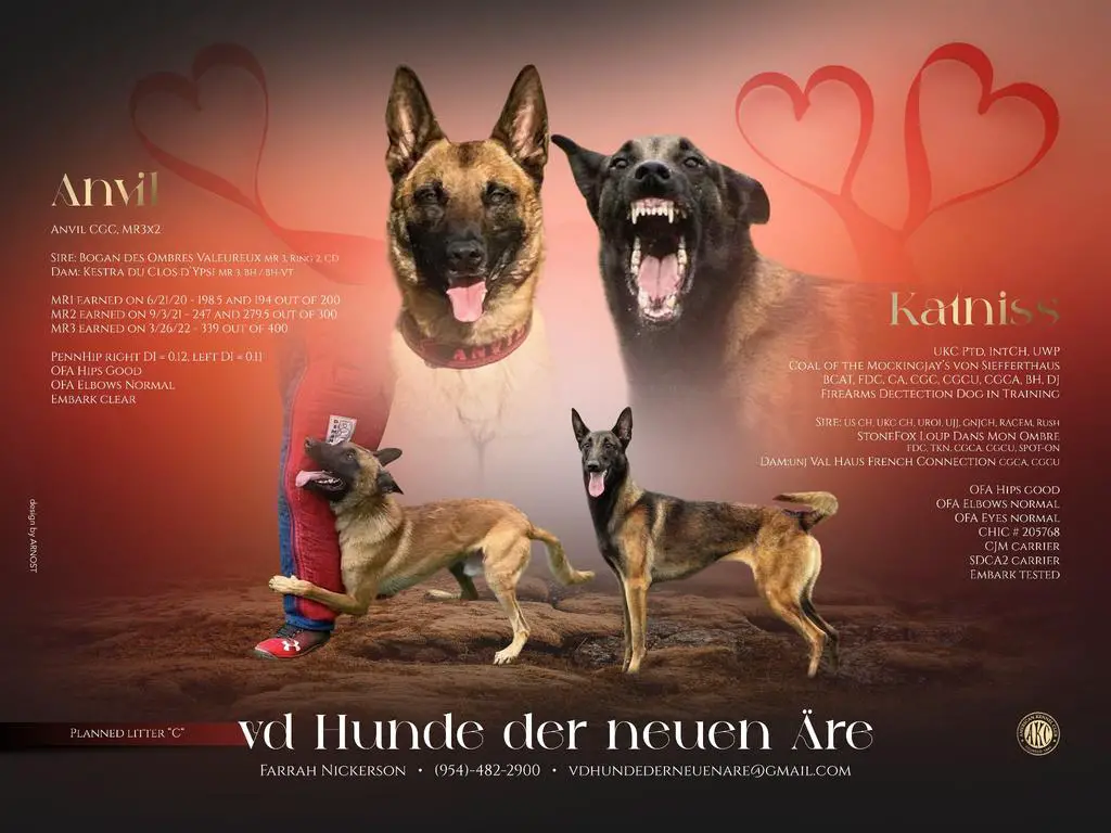 Amazing sport/working prospects