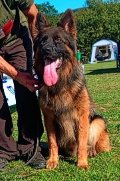 Top long coat male son from SG4 BSZS