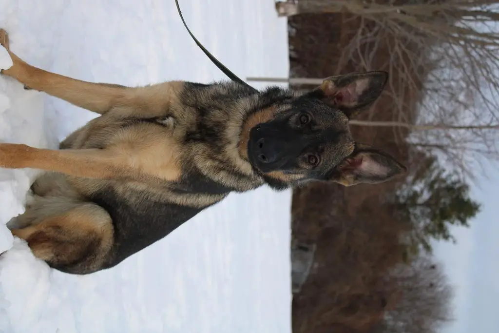 Female Available Active Family /