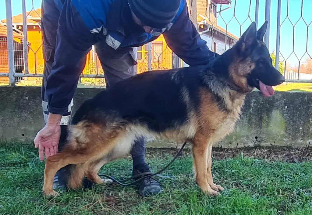 VA1 Usher aus der Brunnenstraße..Daughter...