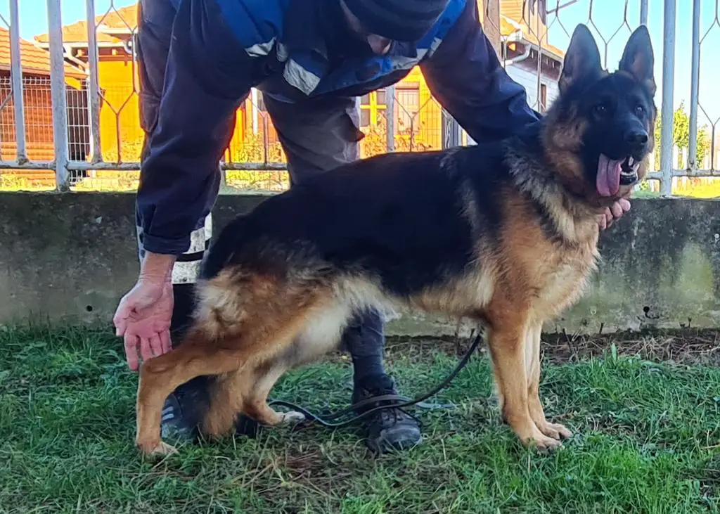 VA1 Usher aus der Brunnenstraße..Daughter...