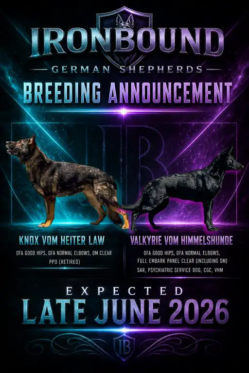Upcoming Czech/DDR Litter