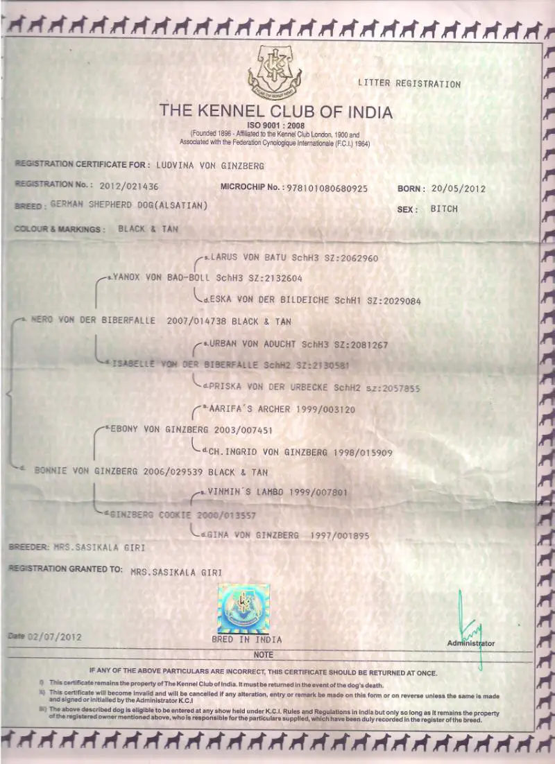 Kci Registration Kennel Club Microchip Kci Registered Puppies 2025
