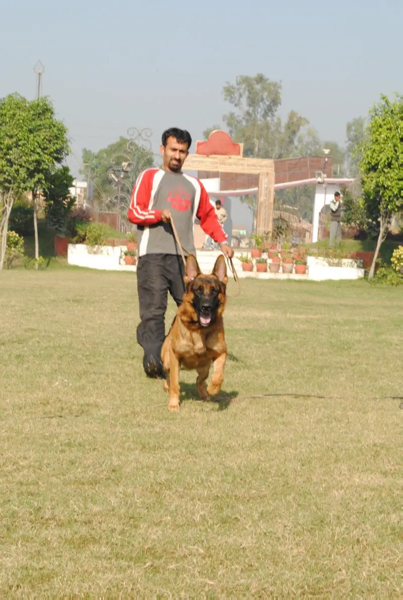 Intira Jaroenpura picture Saba Hameed picture